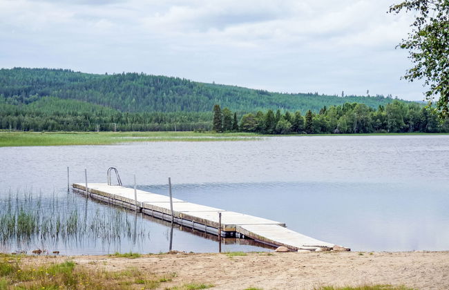 Kvisthån Tallen - Photo 28