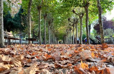 Prime Loft LA RIOJA VT-LR-1923 - Photo 48