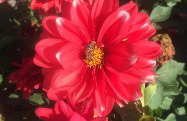 Stephania's Stone House - Foto 25