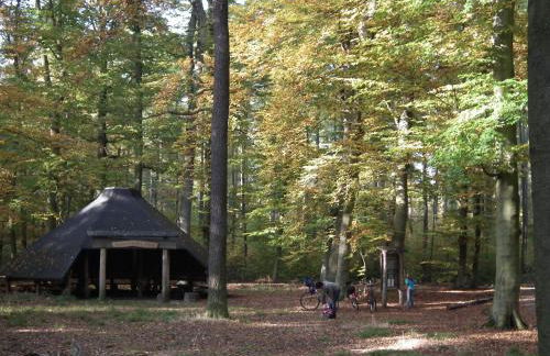 Ferienhaus Spreeidyll, Schlepzig - Foto 35