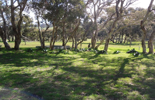 Wenton Farm Holiday Cottages - Photo 23