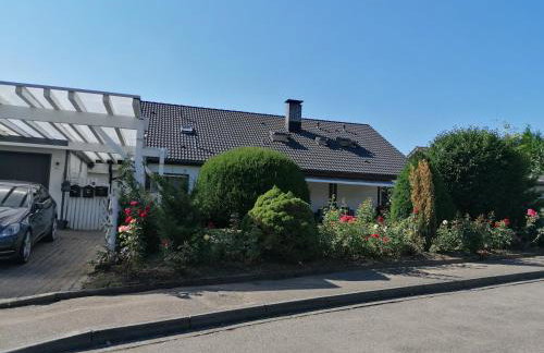 Apartment an der Schweizer Grenze - Foto 2