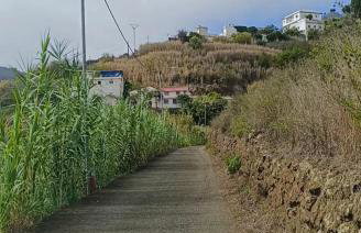 Las Cuevas de Sacromonte - Foto 17