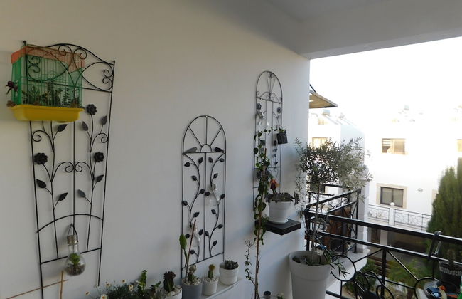 Paramount Gardens Resorts C202 - Foto 35