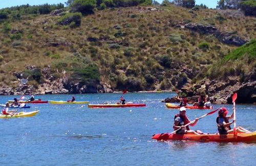 Villa Launa en Port d' Addaia - Foto 21