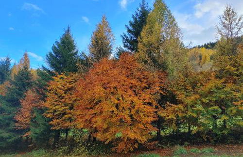 Appartamento Al Brenz - Foto 41