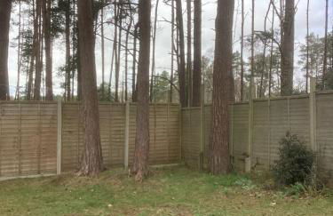 Forest Heath Holidays - Denphyl - Foto 19