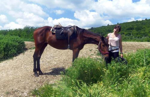 Holiday Home Ladonja - Foto 78