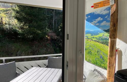 Ferienappartement Schwarzwaldeck in Todtnauberg - Foto 24