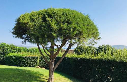 Villa vista mare con piscina - Foto 12