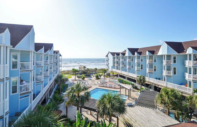 Seascape 1110 - Parrot Paradise - Foto 16