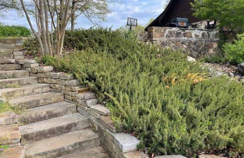 Buffalo River Lodge St Joe AR - Foto 24