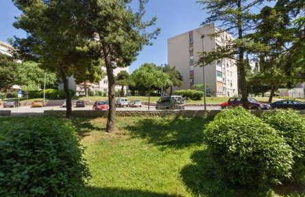 Sunny & Spacious, 2 BR apartment with free parking - Photo 20