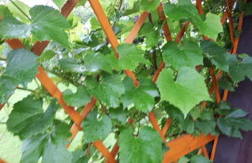 Ferienwohnung Hügelhaus - Foto 25