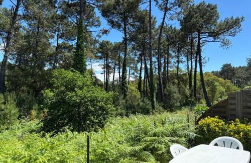 Bluegreen Appartement - Foto 22