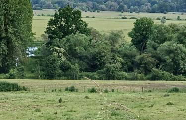 la clé du bouton d'or - Foto 25