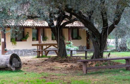 Su Leunaxiu - Foto 122