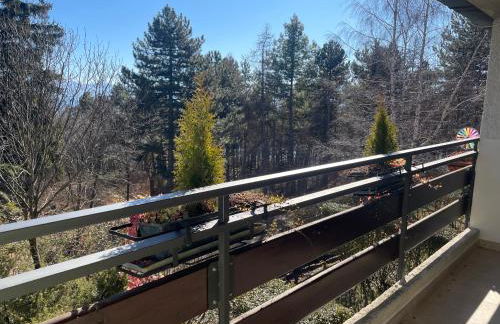 Chalet Torri del Brenta - Foto 19