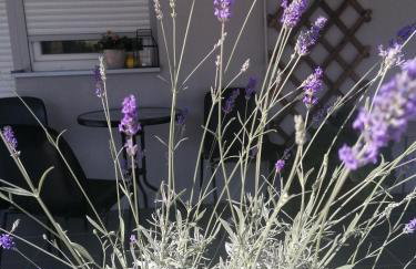 Guest House Mylan - Foto 64