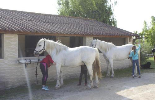 Gîtes Equestres Lou Caloun - Les Saintes Maries de la Mer - Foto 66