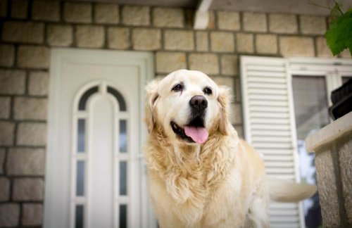 Villa Silvija - Foto 35