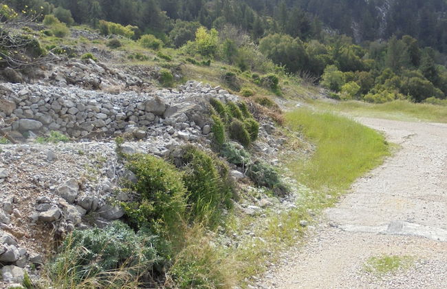 Ataviros Hotel - Foto 60