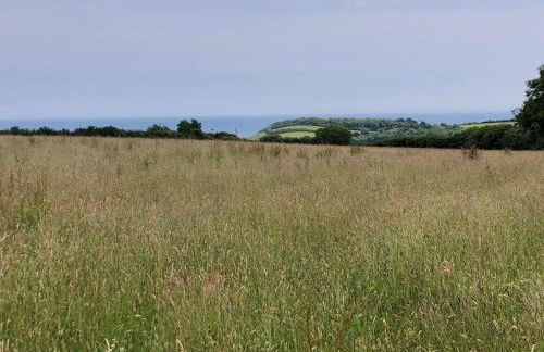 Two Bedroomed Holiday Cottage with Sea Views - Foto 43