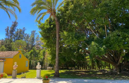 Cortijo La Saleta Banús - Foto 10