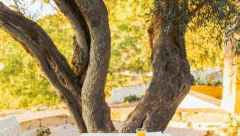 Quinta do Valdalágea - Foto 2