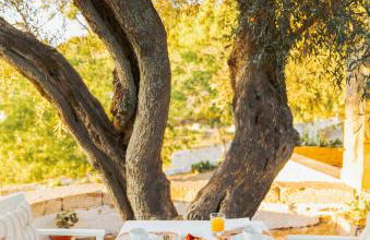 Quinta do Valdalágea - Foto 16