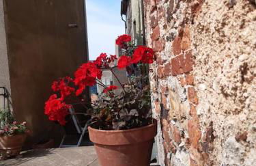 Casa Il girasole - Foto 29