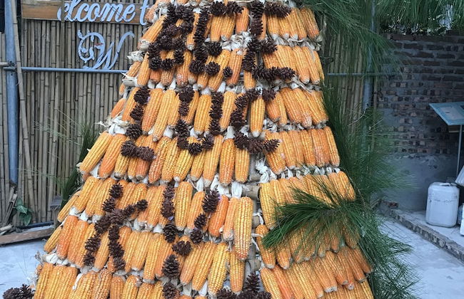 Bee Lucky Homestay - Photo 31