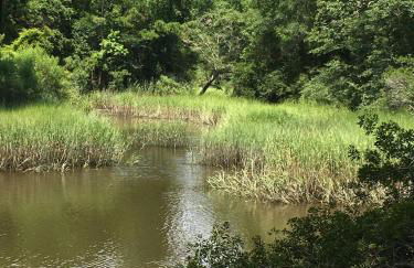 The Dock House - Foto 18