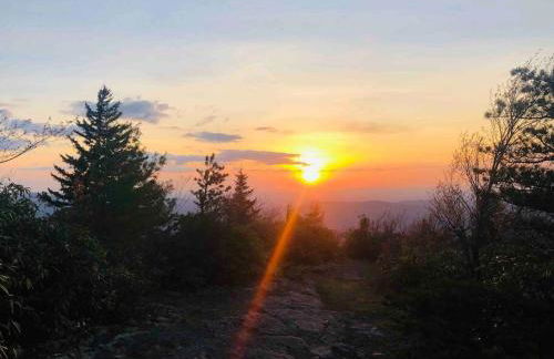 Cabin at the cove at Watauga Lake - Foto 23