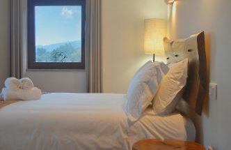 Quinta do Limite - Agroturismo - Foto 14