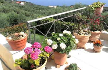 White Hill Platanos - Photo 1