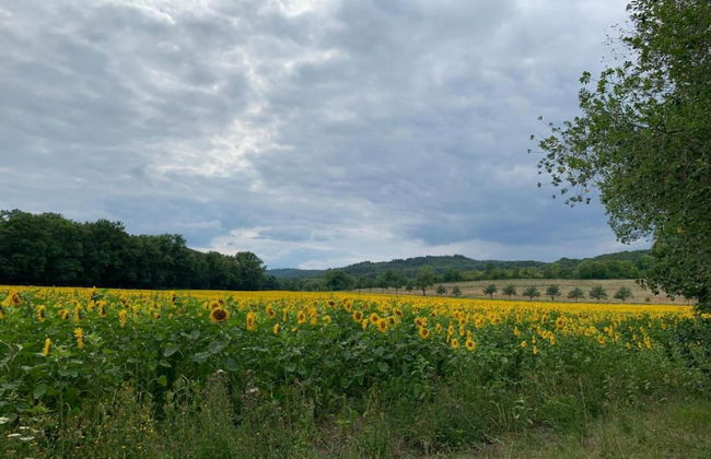 Ferienhaus in Blankenburg - Foto 22