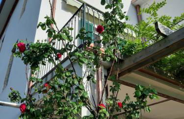 Villa Pavone - Foto 31