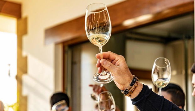 Tour del vino Txacoli con visita al Museo Txakoli e degustazione - Foto 4