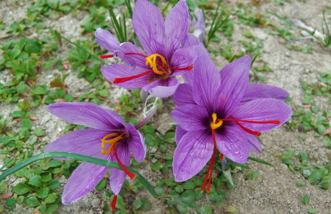 LuxLax 2. OG Süd - Foto 29