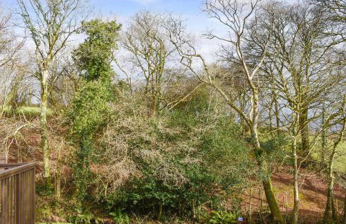 Squirrel Creek - Foto 14