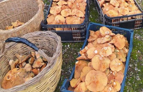 Casa Celia - Foto 31