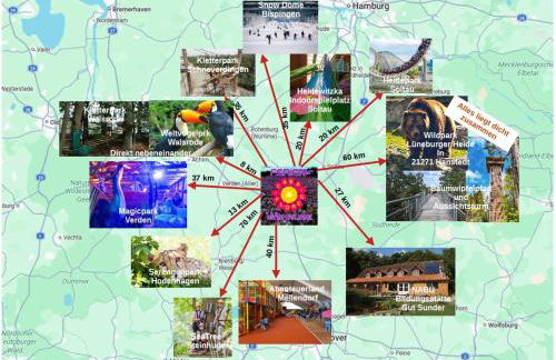 Casa-Flores, um"Schwarzes Gold" zu erkunden - Foto 13