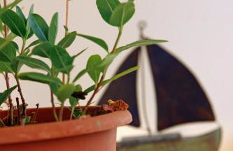 Bellisima Campagna Home pelekapina -chania crete - Foto 35