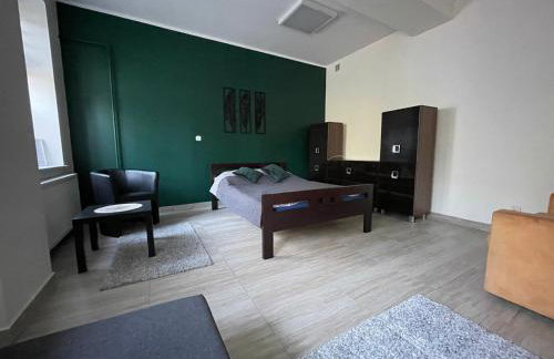 Apartamenty Trzciana - Foto 24