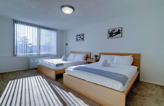 Spacious 2BR Apartment in Crystal City - Photo 7