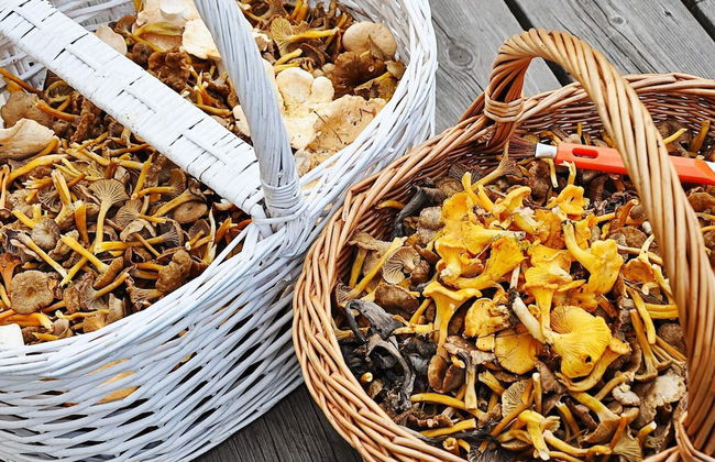 8 Person Holiday Home in Burea-by Traum - Foto 12