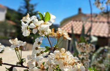 Roberto Apartment - Foto 17