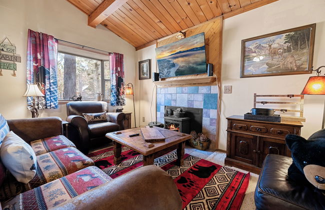 A Beary Cute Cabin - Foto 1