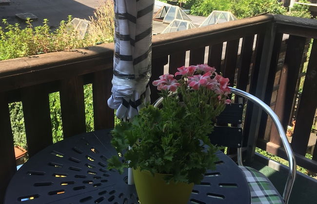 Ferienwohnung Friedrich Schiller - Foto 41